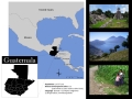 Layout1_CentralAmerica
